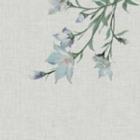 手机号码数字磁场天医结尾 转运旺财的手机尾号