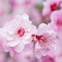 如何防止恋人间的情感外遇