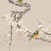 圆脸的女人面相 福泽深厚未来无限可惜