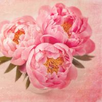 月亮星座白羊座有哪些方面的性格表现