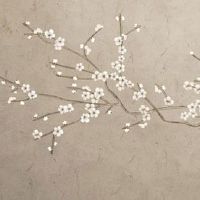 免费测试婚姻不收费的 男命八字强且没财星多婚命