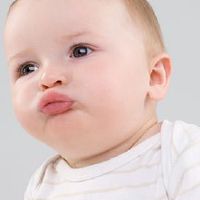 2022年虎年女宝宝取名