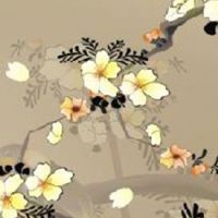 什么骨相的女人命最好 事业蒸蒸日上升职加薪有望