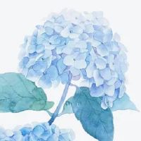 100个好听到爆的店铺名字 时尚吉利店面取名