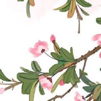 注册店面怎么取名字 高端洋气商铺名称