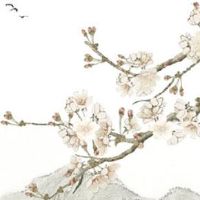 车牌号码带94好不好 整体寓意十分不吉利