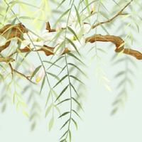 地支巳申合会离婚 八字地支申与什么相合的条件