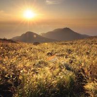 双子座男人因为什么原因会被女朋友背叛