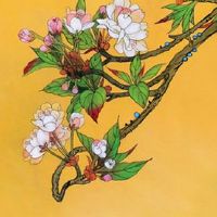 不吉利的车牌号有哪些 四种车牌组合寓意不吉