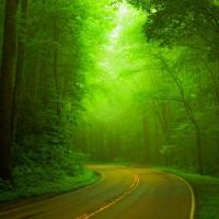 巨蟹座男人因为什么原因会被女朋友背叛