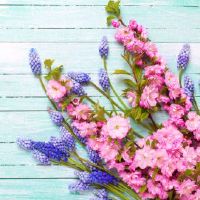 1985年出生的生肖牛是穷苦命吗