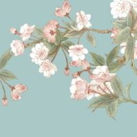 手指上螺纹全是簸箕 婚姻发展幸福一生相守