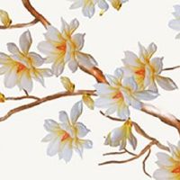 2022年11月16日出生的男孩取名免费 五行缺土的最佳寓意好名