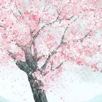 手机号六煞38和83分别 吉祥好运的手机尾号