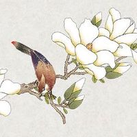 白露节气过后天气会凉快吗 白露节气一般穿什么衣服