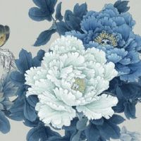 1970年属狗人车牌怎么选 最新生肖车牌吉利数字