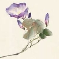 八字怎么看双妻命 什么面相的男人会二婚