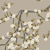 2003年羊和2004年猴相克吗 真诚相待获得好结果