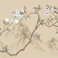 女生富贵相的标准 做事风风火火事业发展旺盛