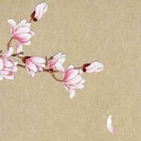 大门挂五帝钱禁忌 五帝钱最忌挂卫生间门上