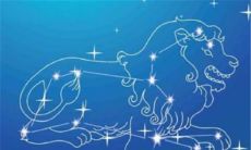 探讨狮子座喜欢与否：想知道如何判断狮子座女生是否喜欢你以及她们最喜欢的生日礼物是什么吗？