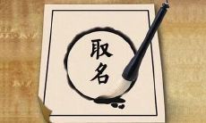 2023属虎女孩必看：免费婴儿乳名大全，幸运又吉利的取名指南！