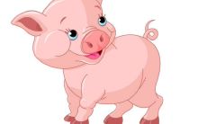 属鸡的2023年三月运势：探讨属鸡在2023年三月份的生肖运势和星座运程