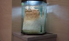 了解太岁在辛未的含义和影响：一探究竟