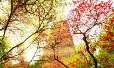 五月处女座星座运势大揭秘，附加水瓶座今日运势详解！