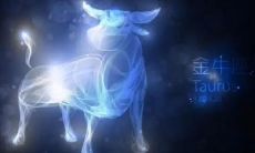 2023年7月8日金牛座的运势：探寻金牛座8月的幸运指数及预测