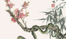 1991年出生的属羊人在一生中可能经历三大劫难（以1991为顶点的属羊人最旺盛的时期）