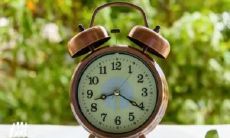 探寻十二生肖的寿命期限：详解十二生肖日期属相表