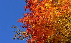 探讨2023年老黄历吉日吉时辰以及农历八月十九时辰的吉凶情况