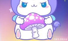 哪个星座最有魅力？一个全面的星座排名，从外貌到性格，一一分析