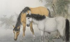 富足无忧！揭秘属鸡人的4个幸运星座，为你解密属鸡人的财运密码！