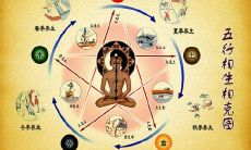 具有完美五行平衡的人：结合金木水火土五行之力的奇妙生命体验