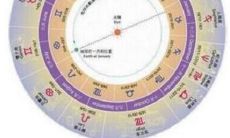 当你故意无视双子座女性的消息，她们会如何反应？