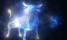 金牛座的无情程度：如何辨别金牛座在爱情中的不喜欢表现？