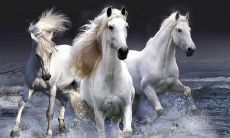 属鼠男的节约和小气，如何分辨真心和玩玩之间的区别？