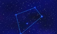 处女座会不断追寻喜欢的对象，持续时间有多长？与之相似，白羊座喜欢一个人的忠诚度能持续多久？