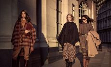 关于人类星座如何划分的探究：背后的方法与原理