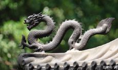 基于中国传统占星学术语层面论述，根据属相规律探究：属龙女和属猪女适合在爱情与婚姻中搭配吗？相比之下，属龙男和属兔女是否也能在情感领域相得益彰呢？