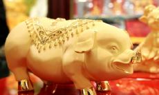 对于1994年出生的人，他们应该属于什么五行属相？