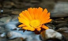 2023年射手座爱情运势预测：将面临惊人劫难！