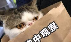 当白羊座男子爱上一个人时，会展现出疯狂的行为表现