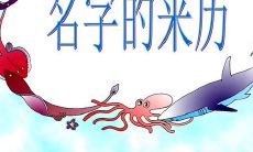 探究名字的寓意和来源：从取名的文化讲究谈起