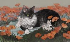 探究12星座：测测你自己是哪个星座的完整介绍