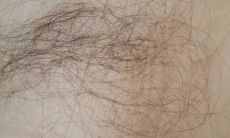 梦见自己掉光头，究竟存在怎样的含义？同时，还应该注意，如果梦中出现已故的亲人送钱却被自己拒绝，可能意味着什么？