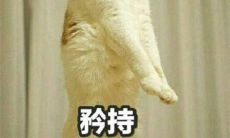 如何在狮子座男性中引起兴趣并促使其向你表露爱意：揭秘狮子座男生对女生的喜欢和表现态度