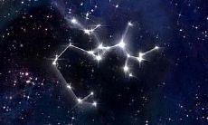 2023年下半年，根据塔罗牌预测，属蛇人的不同出生日期的射手座将会有怎样的运势？